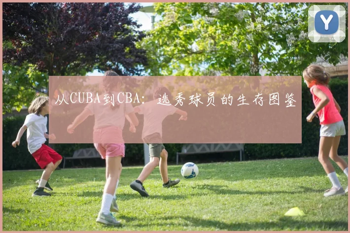 从CUBA到CBA：选秀球员的生存图鉴