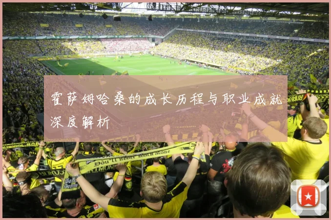 霍萨姆哈桑的成长历程与职业成就深度解析