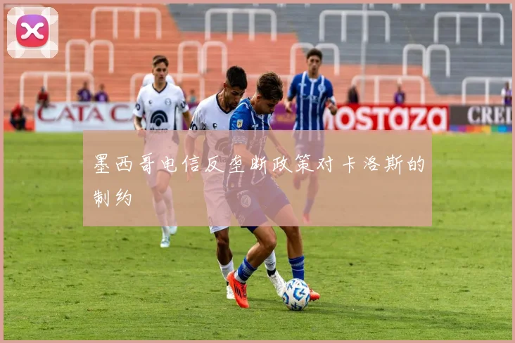 墨西哥电信反垄断政策对卡洛斯的制约