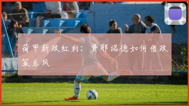 荷甲新政红利：费耶诺德如何借政策东风