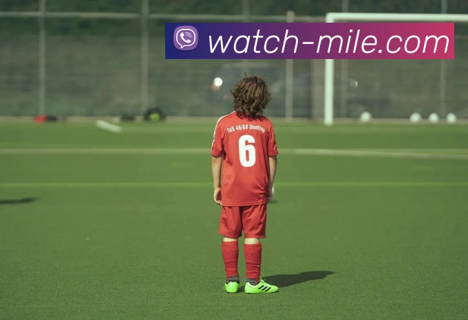 米乐平台生态图